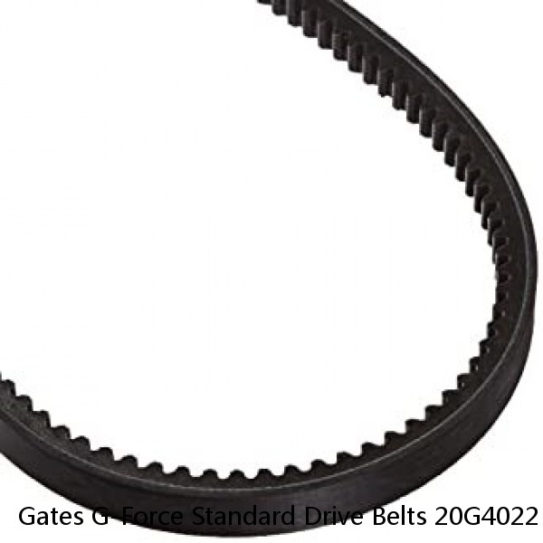 Gates G-Force Standard Drive Belts 20G4022 1142-0559 377314