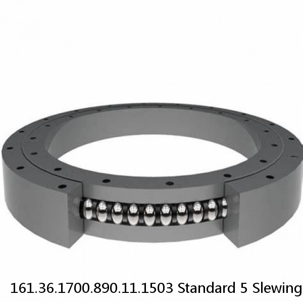 161.36.1700.890.11.1503 Standard 5 Slewing Ring Bearings #1 small image