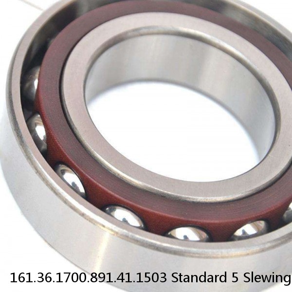 161.36.1700.891.41.1503 Standard 5 Slewing Ring Bearings #1 small image