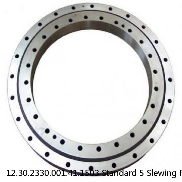 12.30.2330.001.41.1503 Standard 5 Slewing Ring Bearings #1 small image