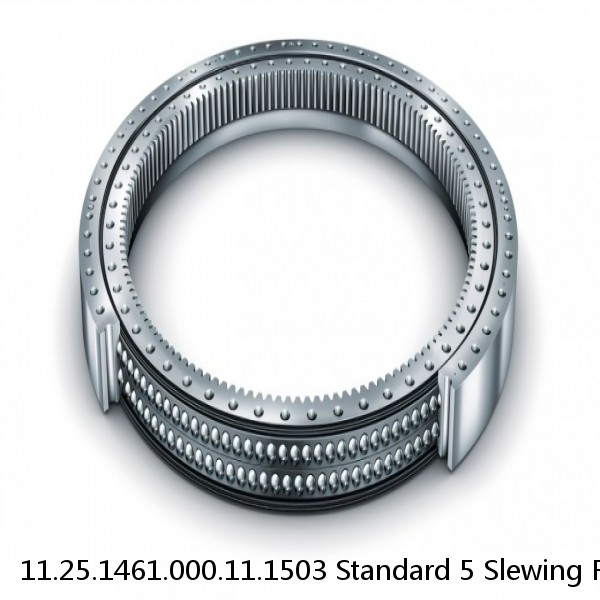 11.25.1461.000.11.1503 Standard 5 Slewing Ring Bearings #1 small image