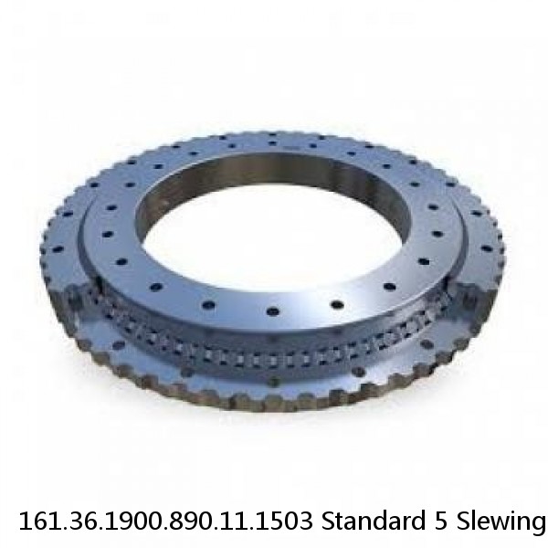 161.36.1900.890.11.1503 Standard 5 Slewing Ring Bearings #1 small image