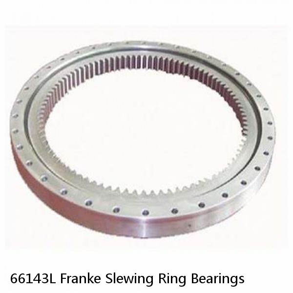 66143L Franke Slewing Ring Bearings #1 small image