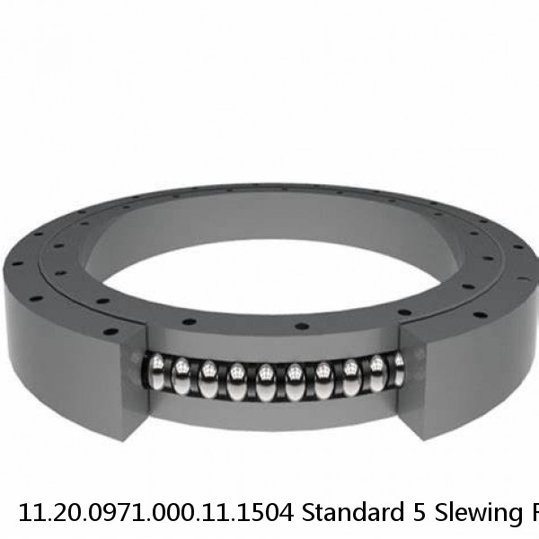 11.20.0971.000.11.1504 Standard 5 Slewing Ring Bearings #1 small image
