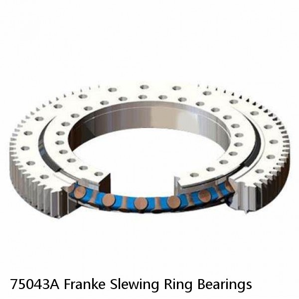 75043A Franke Slewing Ring Bearings #1 small image