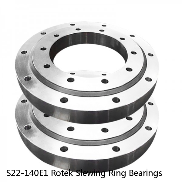 S22-140E1 Rotek Slewing Ring Bearings