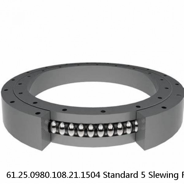 61.25.0980.108.21.1504 Standard 5 Slewing Ring Bearings