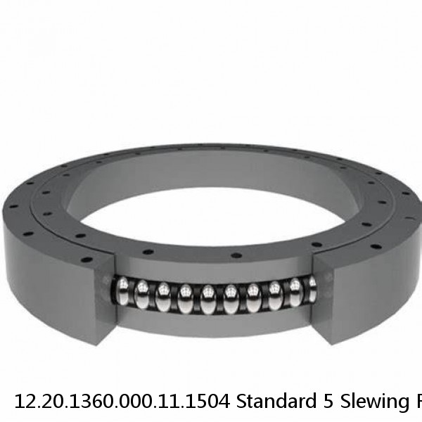 12.20.1360.000.11.1504 Standard 5 Slewing Ring Bearings #1 small image