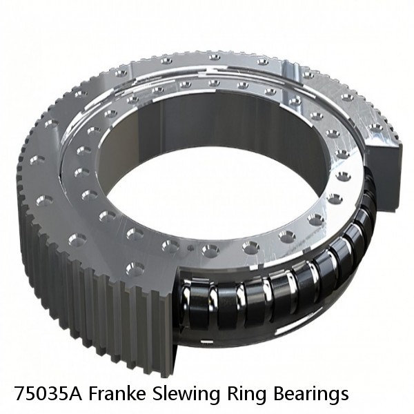 75035A Franke Slewing Ring Bearings