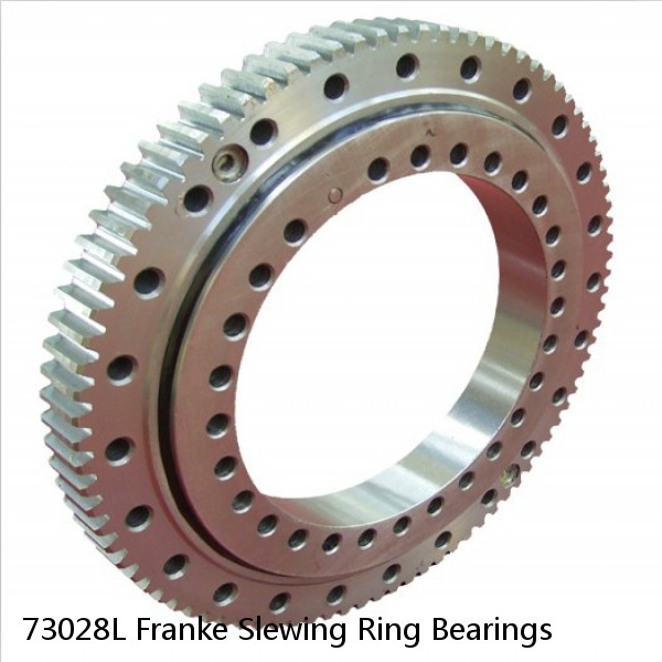 73028L Franke Slewing Ring Bearings #1 small image