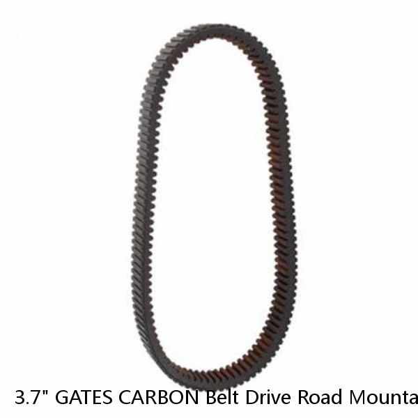3.7" GATES CARBON Belt Drive Road Mountain Commute Race Bike Frame Sticker Decal #1 small image