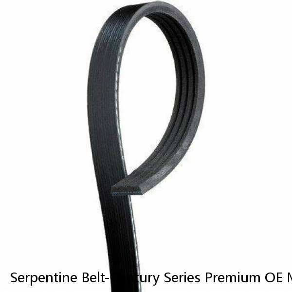 Serpentine Belt-Century Series Premium OE Micro-V Belt GATES K040345 #1 small image