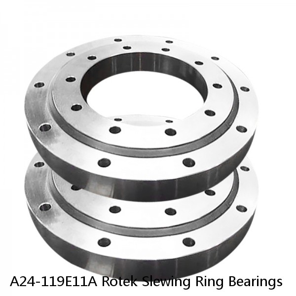 A24-119E11A Rotek Slewing Ring Bearings #1 image