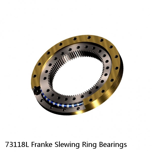 73118L Franke Slewing Ring Bearings #1 image