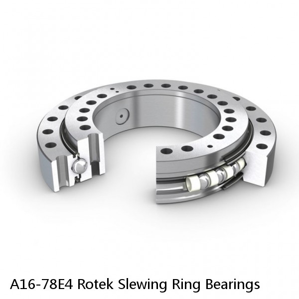A16-78E4 Rotek Slewing Ring Bearings #1 image