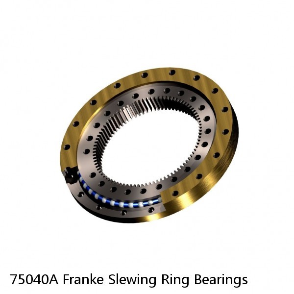 75040A Franke Slewing Ring Bearings #1 image