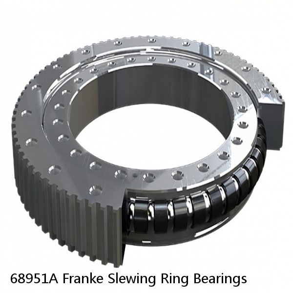 68951A Franke Slewing Ring Bearings #1 image