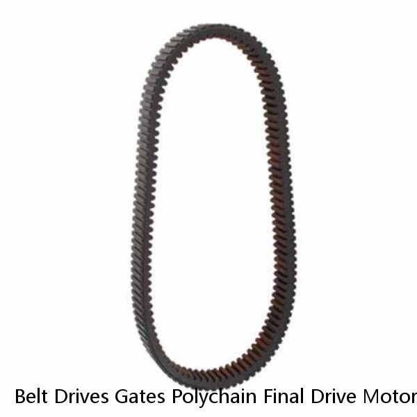 Belt Drives Gates Polychain Final Drive Motorcycle Belt 1 1/8, 128T PC-128-118 #1 image