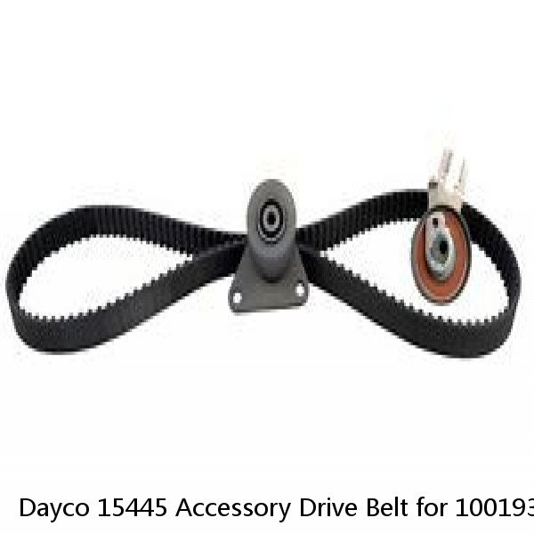 Dayco 15445 Accessory Drive Belt for 10019362 10024880 10A1130 11365 11A1130 yv #1 image